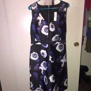 J crew  size 14 dress new